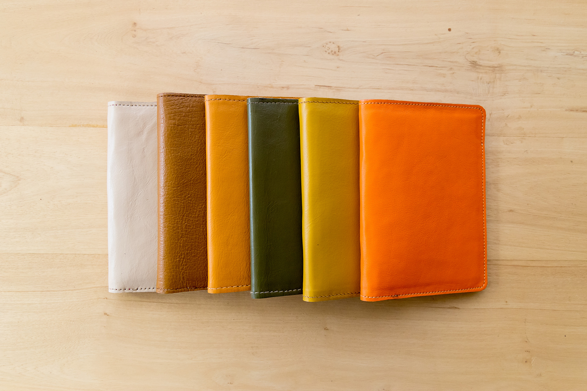 Passport Holder LTS-A - Image 4
