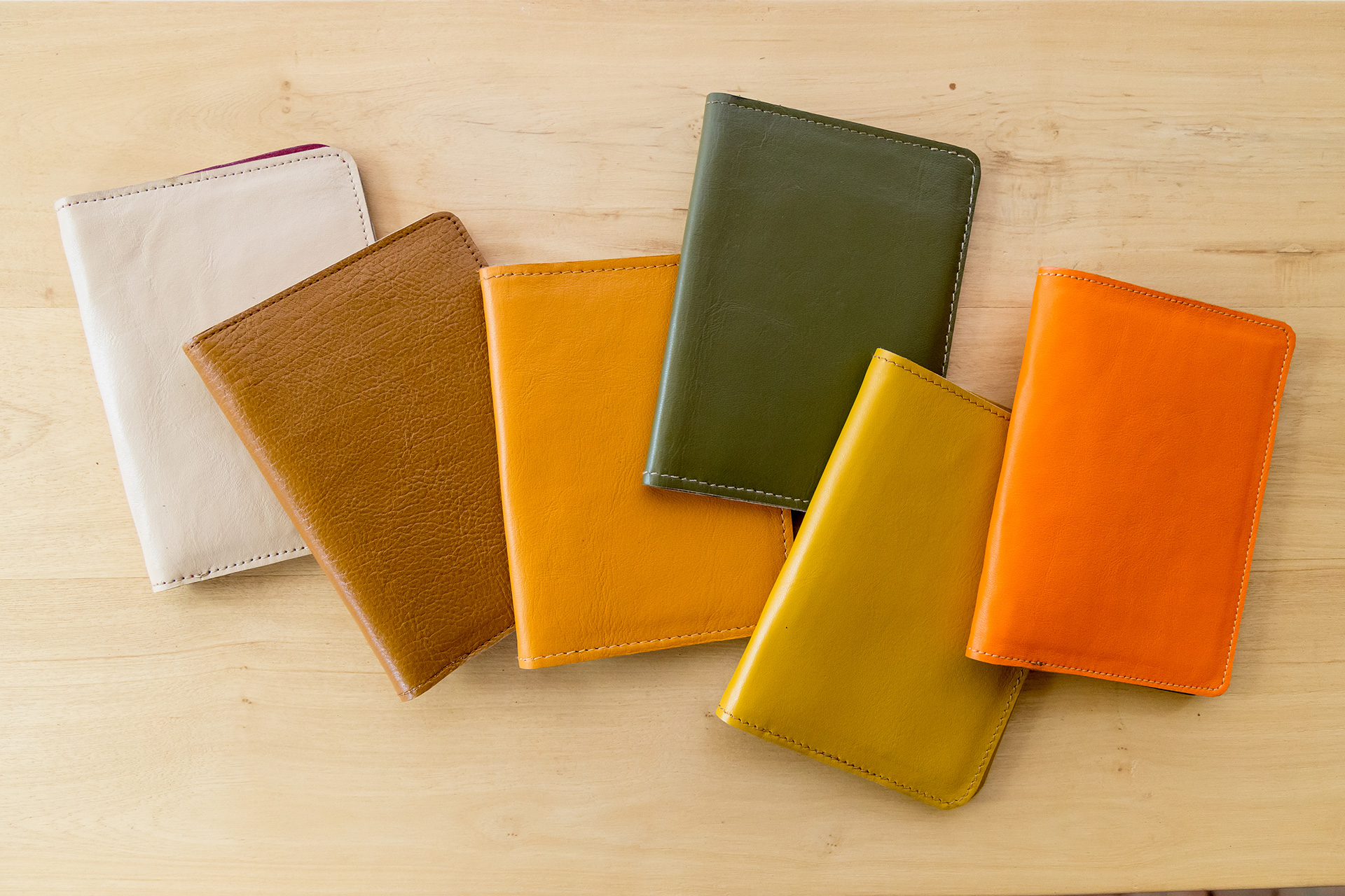 Passport Holder LTS-A - Image 3